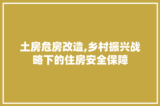 土房危房改造,乡村振兴战略下的住房安全保障