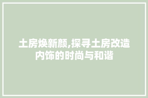 土房焕新颜,探寻土房改造内饰的时尚与和谐