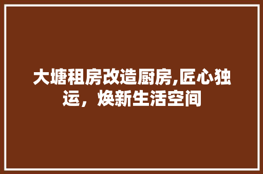 大塘租房改造厨房,匠心独运，焕新生活空间