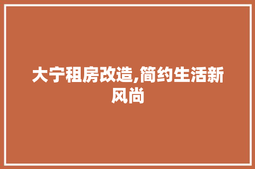 大宁租房改造,简约生活新风尚