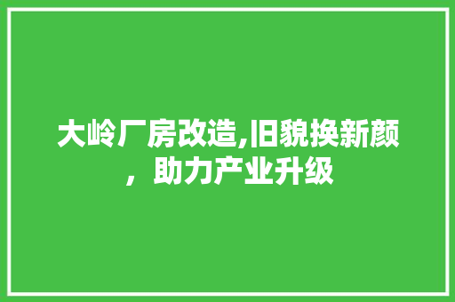 大岭厂房改造,旧貌换新颜，助力产业升级