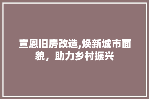 宣恩旧房改造,焕新城市面貌，助力乡村振兴