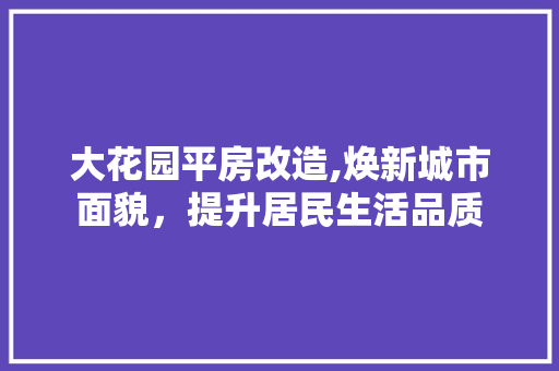 大花园平房改造,焕新城市面貌，提升居民生活品质