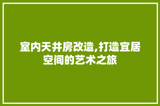 室内天井房改造,打造宜居空间的艺术之旅