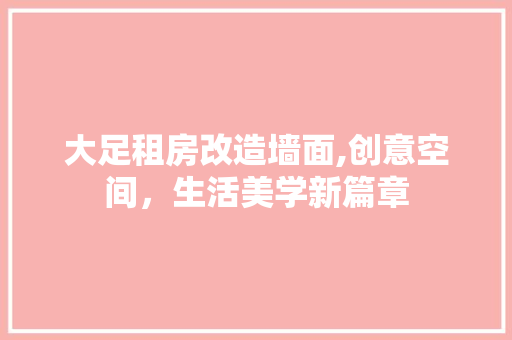 大足租房改造墙面,创意空间，生活美学新篇章