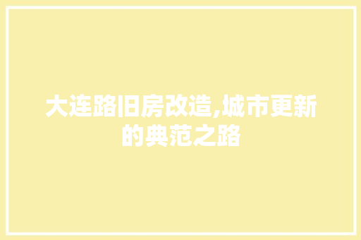 大连路旧房改造,城市更新的典范之路