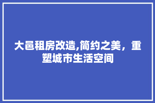 大邑租房改造,简约之美，重塑城市生活空间