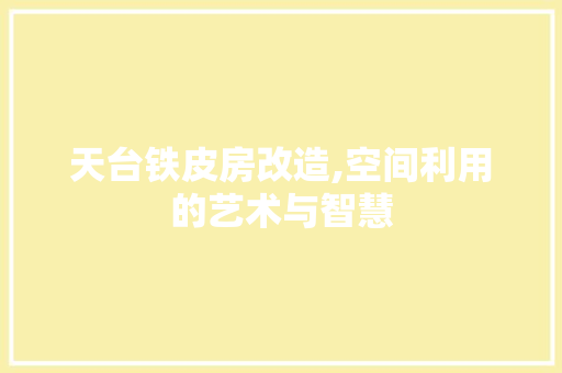 天台铁皮房改造,空间利用的艺术与智慧