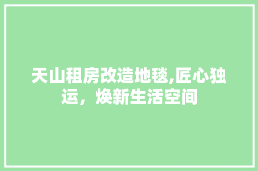 天山租房改造地毯,匠心独运，焕新生活空间