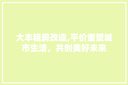 大丰租房改造,平价重塑城市生活，共创美好未来