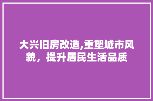 大兴旧房改造,重塑城市风貌，提升居民生活品质
