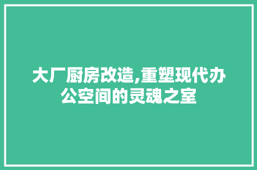 大厂厨房改造,重塑现代办公空间的灵魂之室