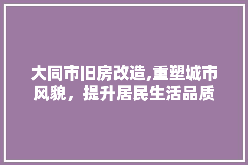 大同市旧房改造,重塑城市风貌，提升居民生活品质
