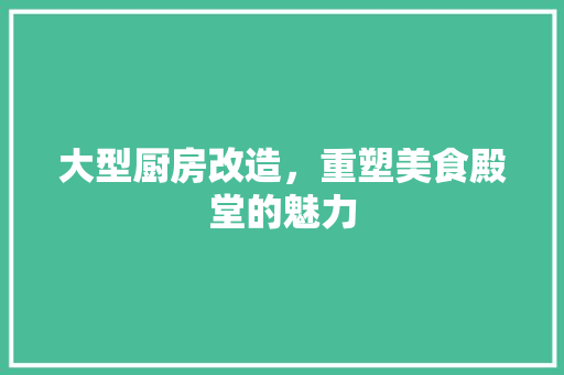 大型厨房改造，重塑美食殿堂的魅力