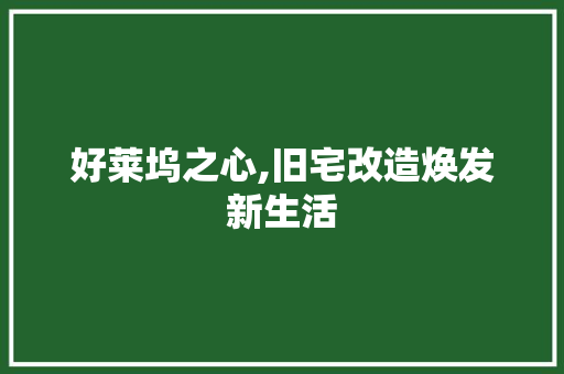 好莱坞之心,旧宅改造焕发新生活
