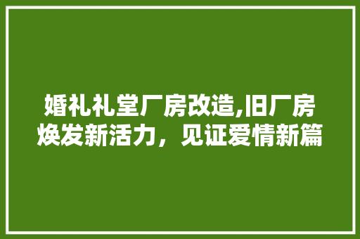 婚礼礼堂厂房改造,旧厂房焕发新活力，见证爱情新篇章