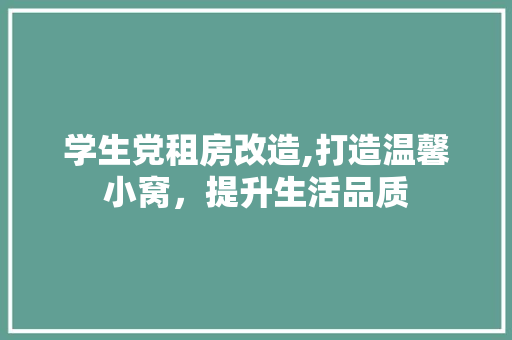 学生党租房改造,打造温馨小窝，提升生活品质