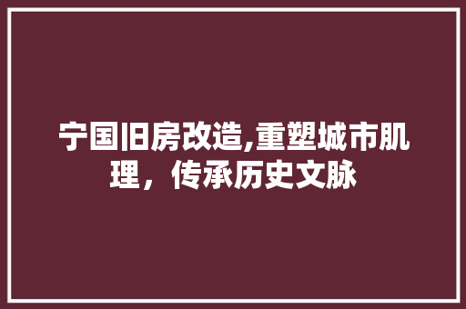 宁国旧房改造,重塑城市肌理，传承历史文脉
