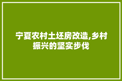 宁夏农村土坯房改造,乡村振兴的坚实步伐