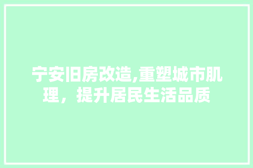 宁安旧房改造,重塑城市肌理，提升居民生活品质