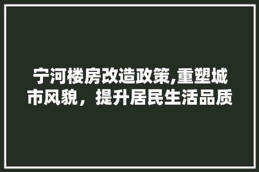 宁河楼房改造政策,重塑城市风貌，提升居民生活品质