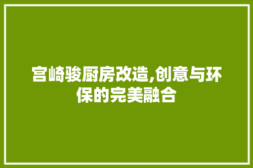 宫崎骏厨房改造,创意与环保的完美融合