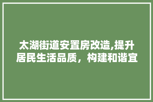 太湖街道安置房改造,提升居民生活品质，构建和谐宜居社区
