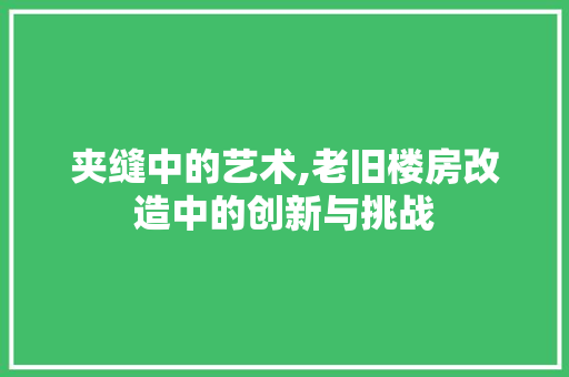 夹缝中的艺术,老旧楼房改造中的创新与挑战