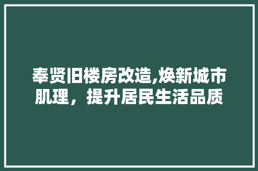 奉贤旧楼房改造,焕新城市肌理，提升居民生活品质