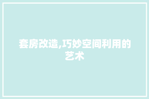 套房改造,巧妙空间利用的艺术