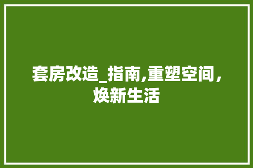 套房改造_指南,重塑空间，焕新生活
