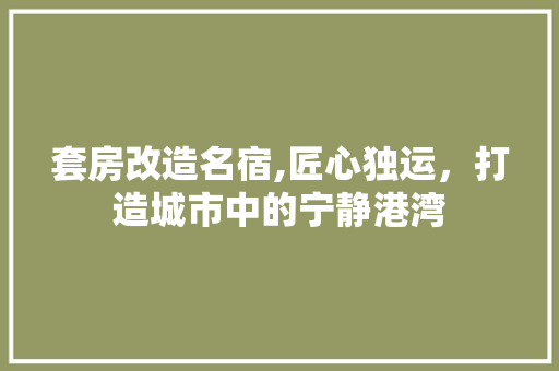 套房改造名宿,匠心独运，打造城市中的宁静港湾