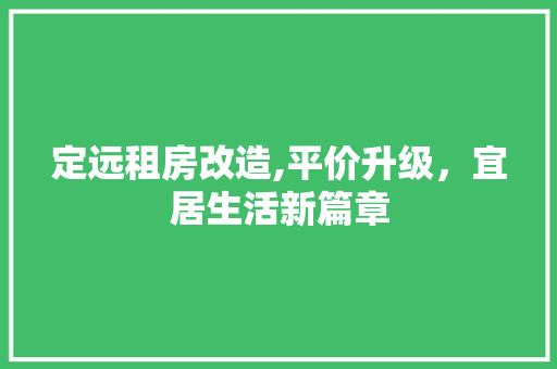 定远租房改造,平价升级，宜居生活新篇章