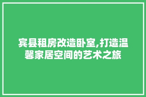 宾县租房改造卧室,打造温馨家居空间的艺术之旅