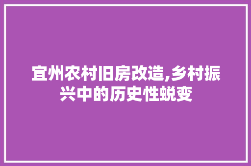 宜州农村旧房改造,乡村振兴中的历史性蜕变