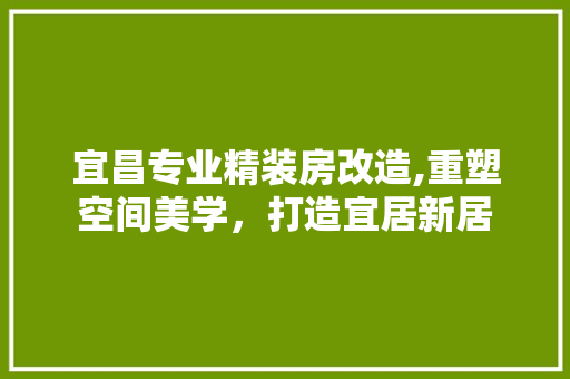 宜昌专业精装房改造,重塑空间美学，打造宜居新居