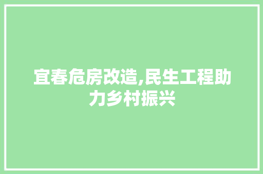 宜春危房改造,民生工程助力乡村振兴