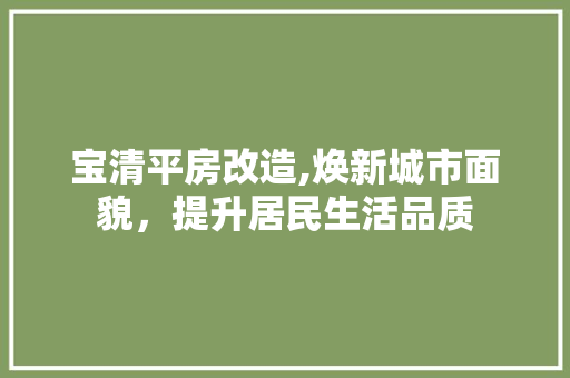 宝清平房改造,焕新城市面貌，提升居民生活品质