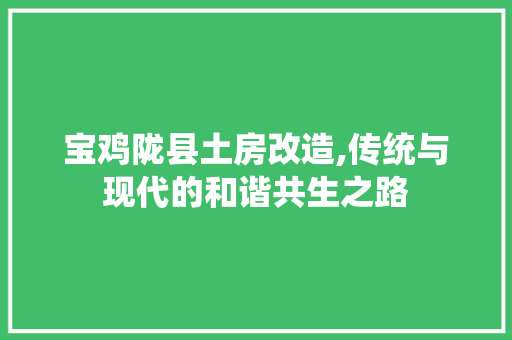 宝鸡陇县土房改造,传统与现代的和谐共生之路