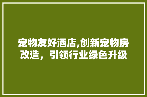 宠物友好酒店,创新宠物房改造，引领行业绿色升级