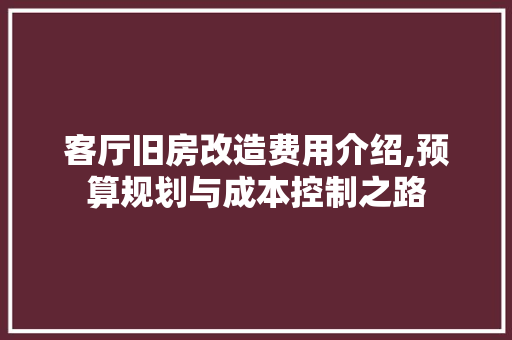 客厅旧房改造费用介绍,预算规划与成本控制之路
