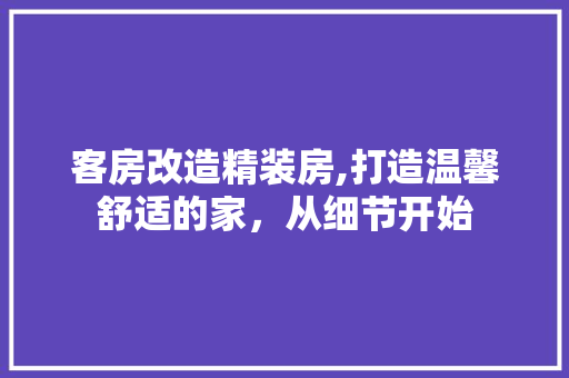 客房改造精装房,打造温馨舒适的家，从细节开始