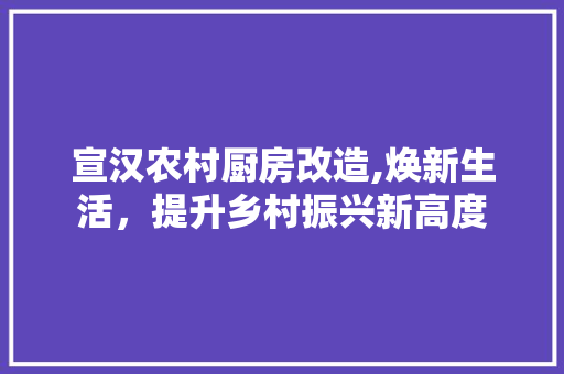 宣汉农村厨房改造,焕新生活，提升乡村振兴新高度