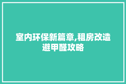 室内环保新篇章,租房改造避甲醛攻略