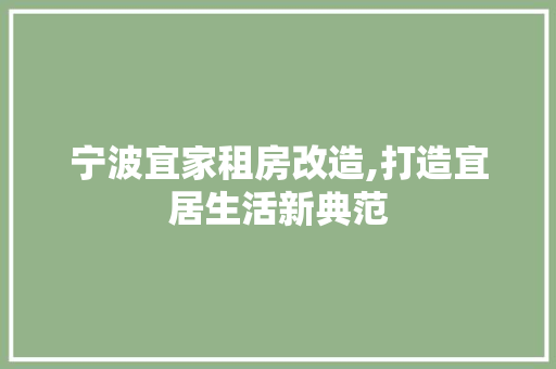 宁波宜家租房改造,打造宜居生活新典范