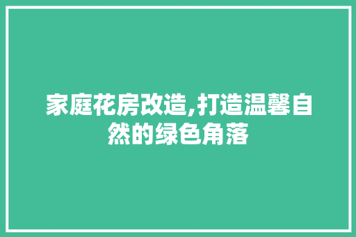 家庭花房改造,打造温馨自然的绿色角落