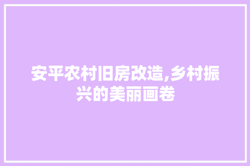 安平农村旧房改造,乡村振兴的美丽画卷