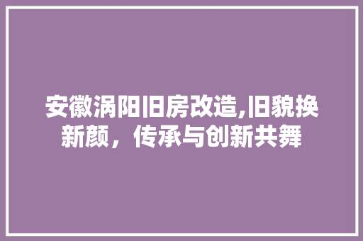 安徽涡阳旧房改造,旧貌换新颜，传承与创新共舞