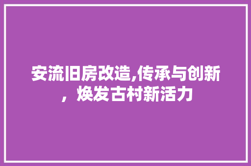 安流旧房改造,传承与创新，焕发古村新活力