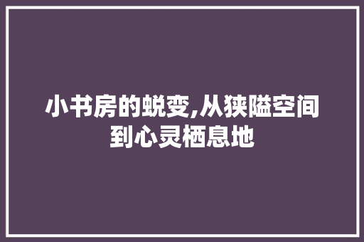 小书房的蜕变,从狭隘空间到心灵栖息地